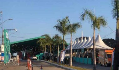 Povo decide: Pau de Gaiola deve continuar na Lagoinha