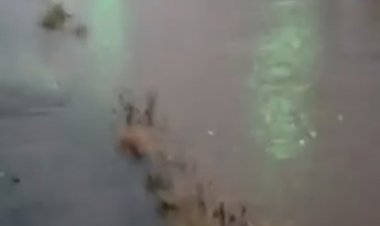 A VOZ DO POVO - Alagamento na Vila Tavares e reclamação de cidadãos