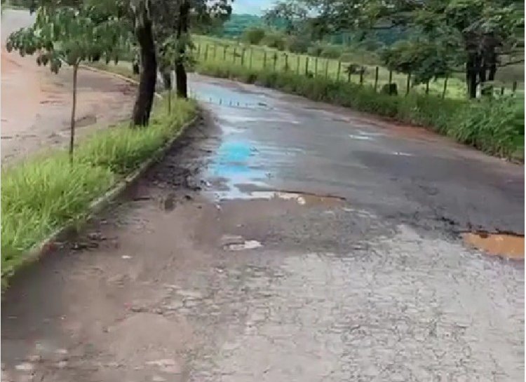 A VOZ DO POVO - Asfalto esburacado e mato no passeio, nas Peixotas