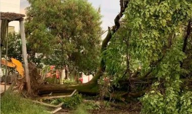 CHUVAS - Tempestades continuam durante o mês de fevereiro