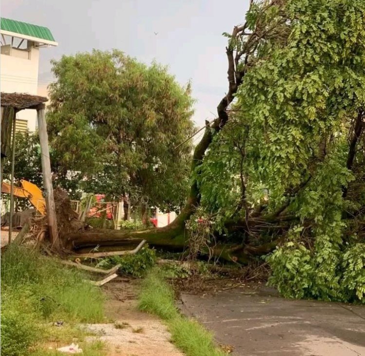 CHUVAS - Tempestades continuam durante o mês de fevereiro