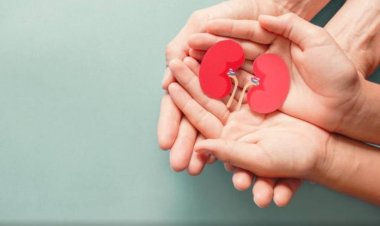 SOLIDARIEDADE - Captação de órgãos tem aumento de 30%