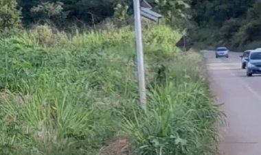 VANDALISMO  - Radares são alvo de vândalos  nas estradas da região