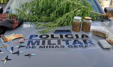 Jovens flagrados com pé de maconha e cocaína
