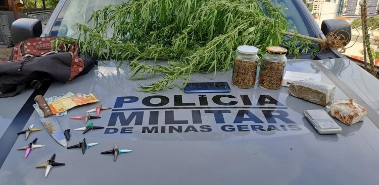 Jovens flagrados com pé de maconha e cocaína