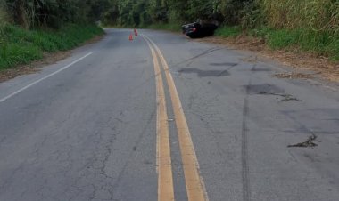 Desvia de cachorro e capota na MG-431