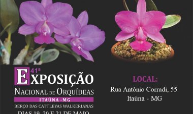 41ª Exposição de Orquídeas de Itaúna começa no dia 19