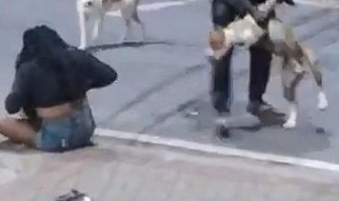A voz do povo - Homem usando cão treinado para atacar pessoas?