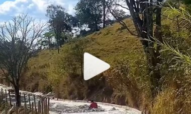 Publicidade pública deve ter cuidado com o uso do idioma