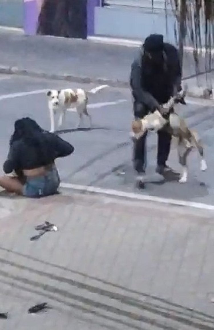 A voz do povo - Homem usando cão treinado para atacar pessoas?