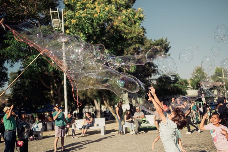 CULTURA, LAZER E DIVERSÃO: Programa para toda a família no domingo