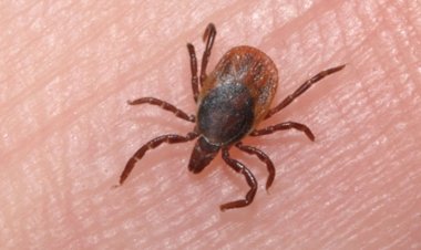 Divinópolis registra  primeira morte da região