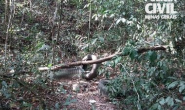 Mulher e comparsa são indiciados 10 anos após matar adolescente