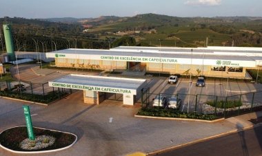 Coluna Sindijori 26/10
