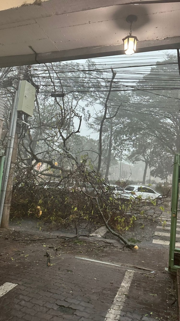 Chuva forte transforma avenida central em rio, em Itaúna!