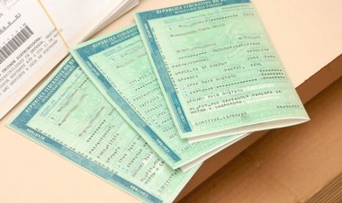 CRLV já está sendo cobrado de todas as placas