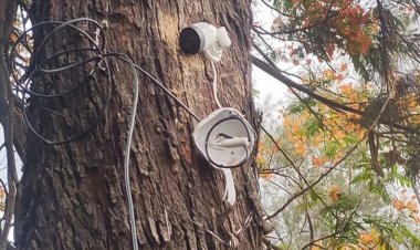 SAAE denuncia vandalismo