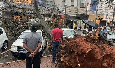 ÁRVORE CAI ENTRE CARROS NA PRAÇA! AVENIDA JOVE SOARES VIROU UM RIO!