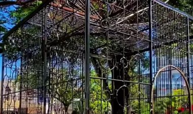 CIDADE DO NATAL - Acendimento das luzes nesta quinta-feira