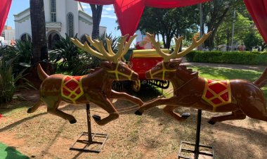 REPÚDIO - Decorações natalinas foram danificadas