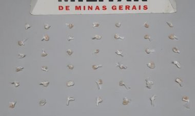 TRÁFICO DE DROGAS - PM apreende 44 pedras de crack em lote no Centro
