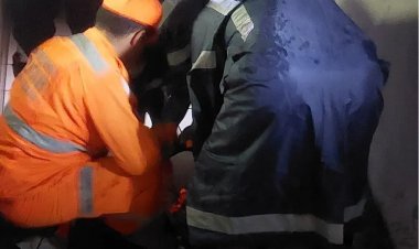 Mulher cai do 2° andar ao tentar pegar gato da família