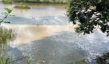 VIDA SENDO “ABAFADA” NA BARRAGEM VELHA