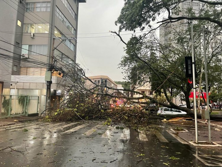 Defesa Civil e Bombeiros apontam riscos