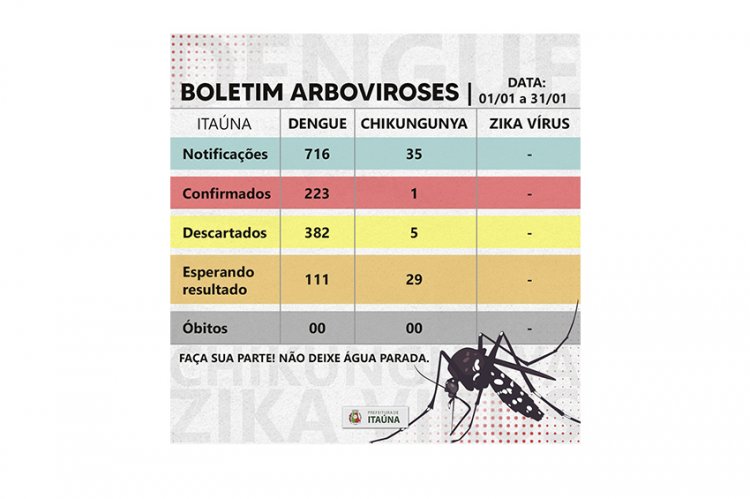 Fumacê nos bairros e  dados sobre a doença