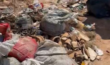 PORCARIA, PORCALHÕES, PORCARIADA...