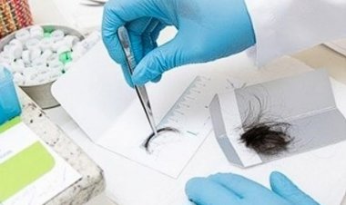 Minas tem 274,8 mil  motoristas irregulares