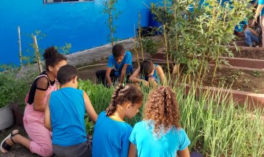 Plantio de hortas é uma das  atividades do Projeto Tempo Integral