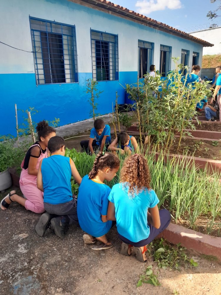 Plantio de hortas é uma das  atividades do Projeto Tempo Integral