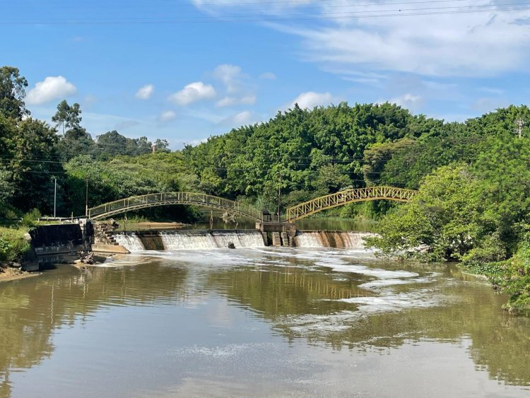 MAU CHEIRO, ESPUMA, DESCASO, REVOLTA...