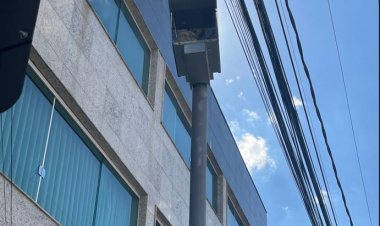 Mais 1.233 notificações em  15 dias