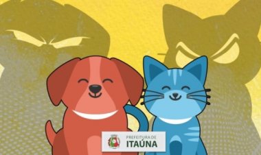 Prefeitura vai começar a vacinar cães e gatos