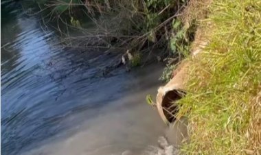 CRIME AMBIENTAL NA RETA DE SANTANENSE