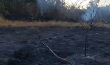 Fogo queima 15 hectares  do Morro do Bonfim