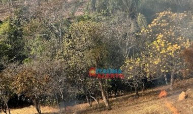 Homem é visto ateando fogo em mato no Recanto das Peixotas