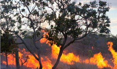 QUEIMADAS: Itaúna é a segunda colocada da região que mais coloca fogo em áreas verdes!