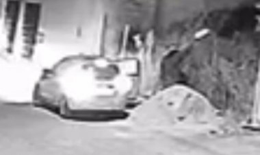 Crime flagrado. Imagem mostra mulher acendendo fogo que queimou mata no Bairro Tropical