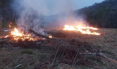 Homem coloca fogo em folhas de coqueiro e causa incêndio