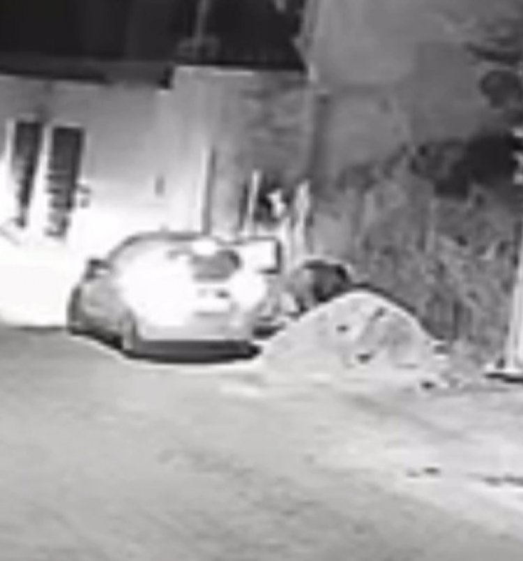 Crime flagrado. Imagem mostra mulher acendendo fogo que queimou mata no Bairro Tropical