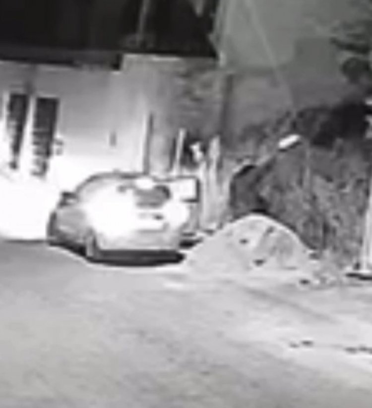 Crime flagrado. Imagem mostra mulher acendendo fogo que queimou mata no Bairro Tropical