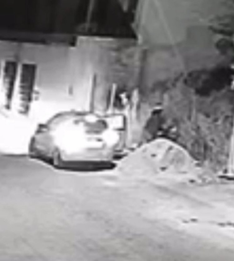 Crime flagrado. Imagem mostra mulher acendendo fogo que queimou mata no Bairro Tropical