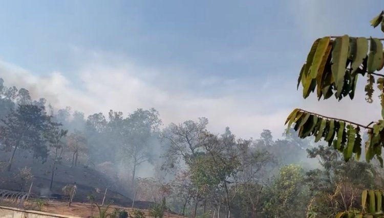Crime flagrado. Imagem mostra mulher acendendo fogo que queimou mata no Bairro Tropical