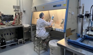 CIENTISTA EMPREENDEDOR - Parceria busca projetos focados em inovação e empreendedorismo