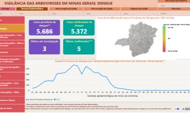 ARBOVIROSES - Período chuvoso exige ação contra a dengue