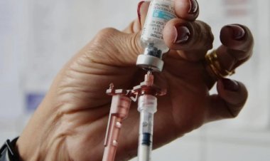 Brasil pode ter vacina em dose única contra a dengue