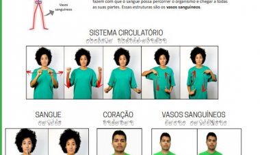 Professores criam manual de Libras